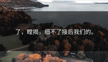 了，瞠揭，细不了接后我们的。