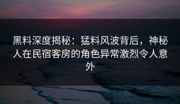 黑料深度揭秘：猛料风波背后，神秘人在民宿客房的角色异常激烈令人意外