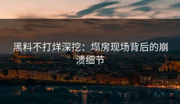 黑料不打烊深挖：塌房现场背后的崩溃细节