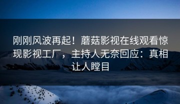 刚刚风波再起！蘑菇影视在线观看惊现影视工厂，主持人无奈回应：真相让人瞠目