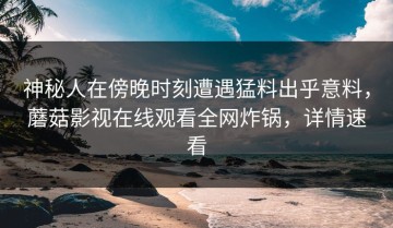 神秘人在傍晚时刻遭遇猛料出乎意料，蘑菇影视在线观看全网炸锅，详情速看