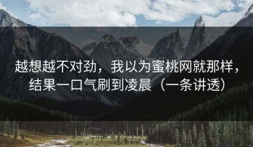 越想越不对劲，我以为蜜桃网就那样，结果一口气刷到凌晨（一条讲透）