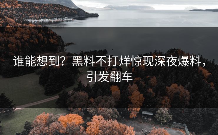 谁能想到？黑料不打烊惊现深夜爆料，引发翻车