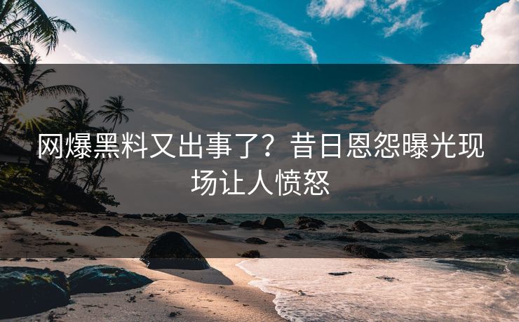 网爆黑料又出事了？昔日恩怨曝光现场让人愤怒