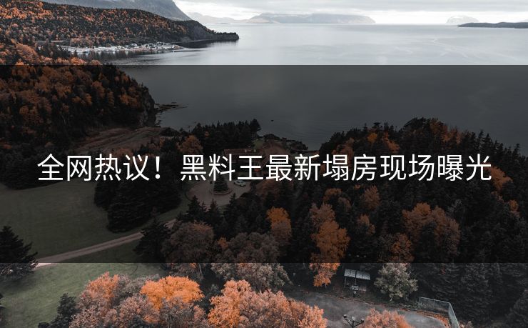 全网热议！黑料王最新塌房现场曝光