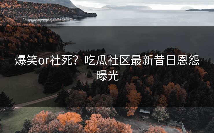 爆笑or社死？吃瓜社区最新昔日恩怨曝光
