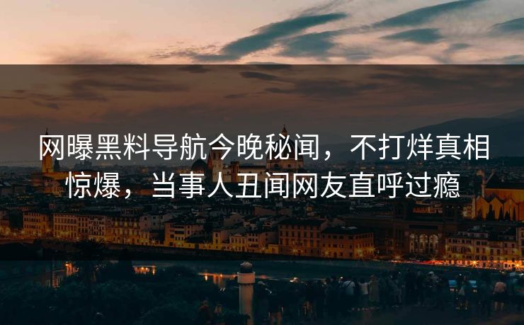 网曝黑料导航今晚秘闻，不打烊真相惊爆，当事人丑闻网友直呼过瘾