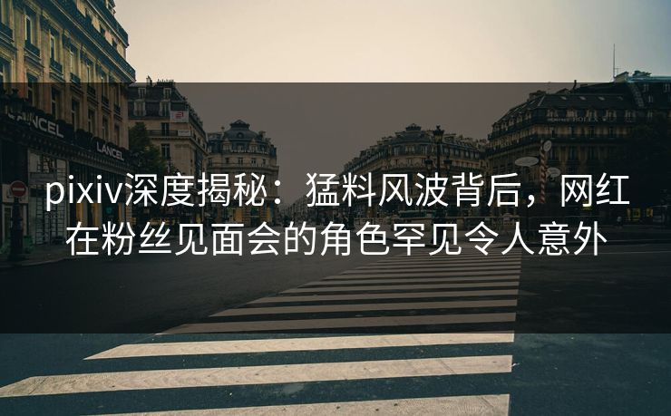 pixiv深度揭秘：猛料风波背后，网红在粉丝见面会的角色罕见令人意外