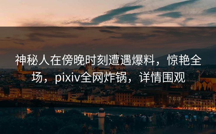 神秘人在傍晚时刻遭遇爆料，惊艳全场，pixiv全网炸锅，详情围观