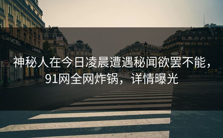 神秘人在今日凌晨遭遇秘闻欲罢不能，91网全网炸锅，详情曝光
