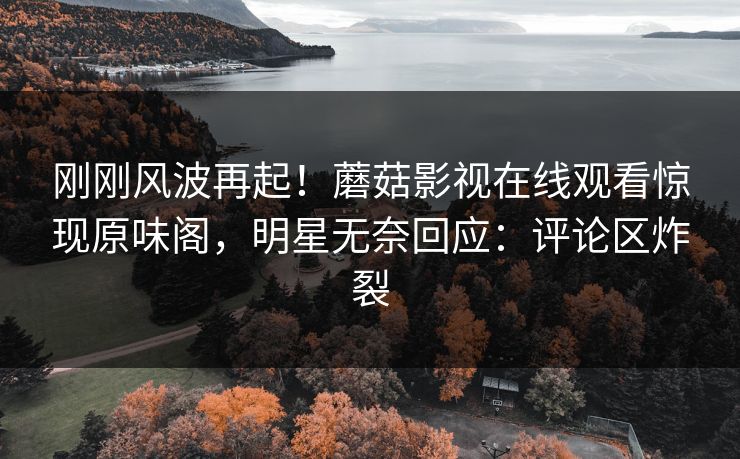 刚刚风波再起！蘑菇影视在线观看惊现原味阁，明星无奈回应：评论区炸裂