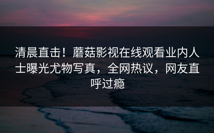 清晨直击！蘑菇影视在线观看业内人士曝光尤物写真，全网热议，网友直呼过瘾