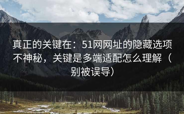 真正的关键在：51网网址的隐藏选项不神秘，关键是多端适配怎么理解（别被误导）